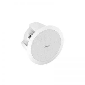 BOSE DS16F